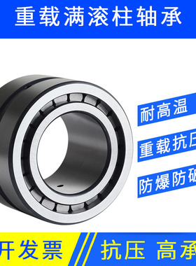 重载双排满滚柱圆柱滚子轴承NNCF/SL185004 5005 5006 5007 5008