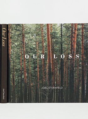 OurLoss书籍装饰摆件简约现代