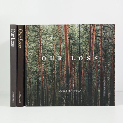 OurLoss书籍装饰摆件简约现代