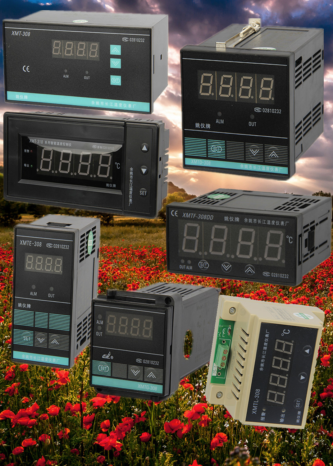 温控仪XMTD308姚仪318