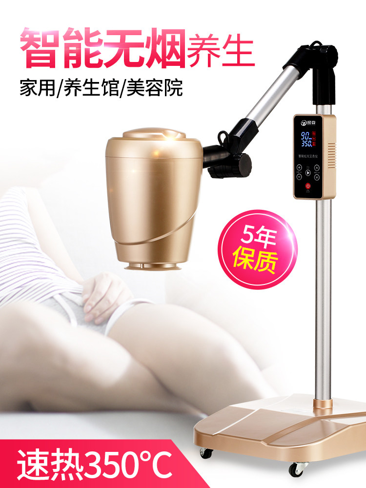 宫寒养生仪家庭式艾灸家用仪器全身无烟随身灸熏蒸仪美容院艾炙盒