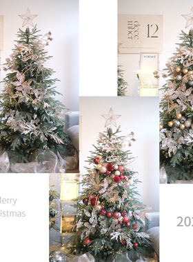 BG 2025设计款香槟插枝系列圣诞树装饰套餐创意组合球叶子布置