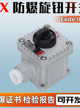防爆旋钮开关 2档3档转换开关盒防爆控制按钮开关急停铝合金IICT6