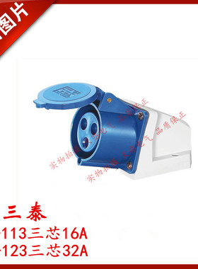 三泰STE 工业明装插座ST-113蓝色ST-123单相三线航空插头插座套装