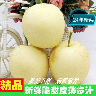 河北皇冠梨2025年新果现摘现发正宗赵州皇冠梨产地直销