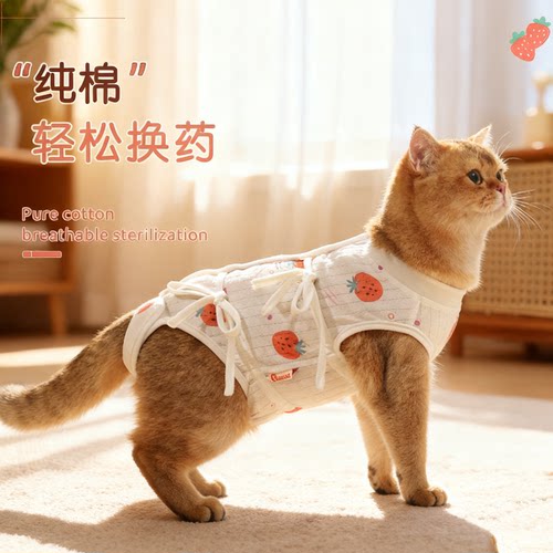 纯棉猫咪绝育服宠物术后服手术服
