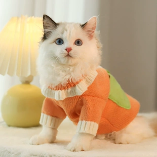 猫咪衣服冬季 猫猫防掉毛小猫保暖布偶幼猫毛衣宠物秋冬可爱猫冬天