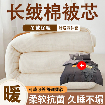 长绒棉+赠送四件套 纯棉棉花被新疆棉被子春秋被冬被加厚保暖