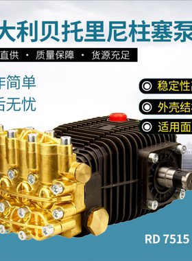 RD7515意大利博托贝托里尼BERTOLINI高压柱塞水泵配件