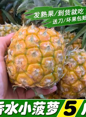 广西脆甜香水小菠萝当季新鲜水果