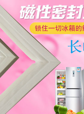 用于长岭冰箱门封条BCD-195SW1 220SCJN 198SCN磁性密封条