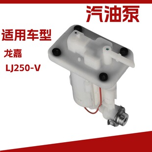适用于龙嘉V途V霸V咖LJ250-V电喷摩托车汽油泵油箱燃油泵总成配件