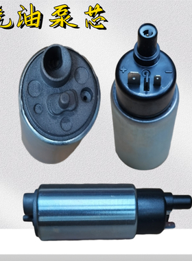 电喷摩托车配件油箱内置汽油泵芯国4踏板车燃油泵马达供油电机12V