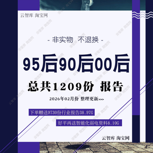 2026年90后95后00后小镇青年人群消费者行为市场消费行业报告洞察