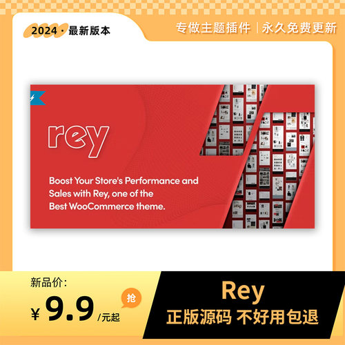 Rey主题Wordpress主题多行业 独特跨境外贸独立站建站 不设站点