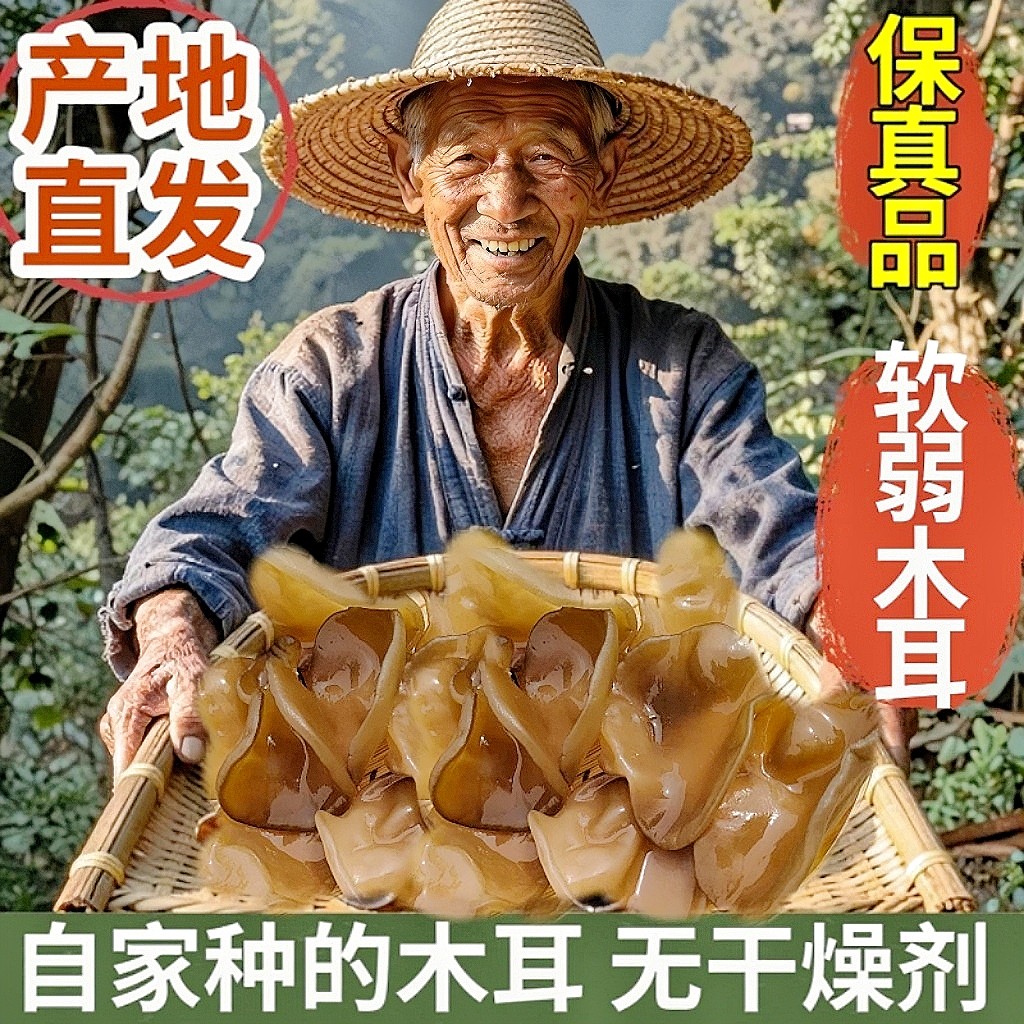 软糯木耳东北木耳好吃的东北黄木耳木耳干货黑龙江特产长白山木耳