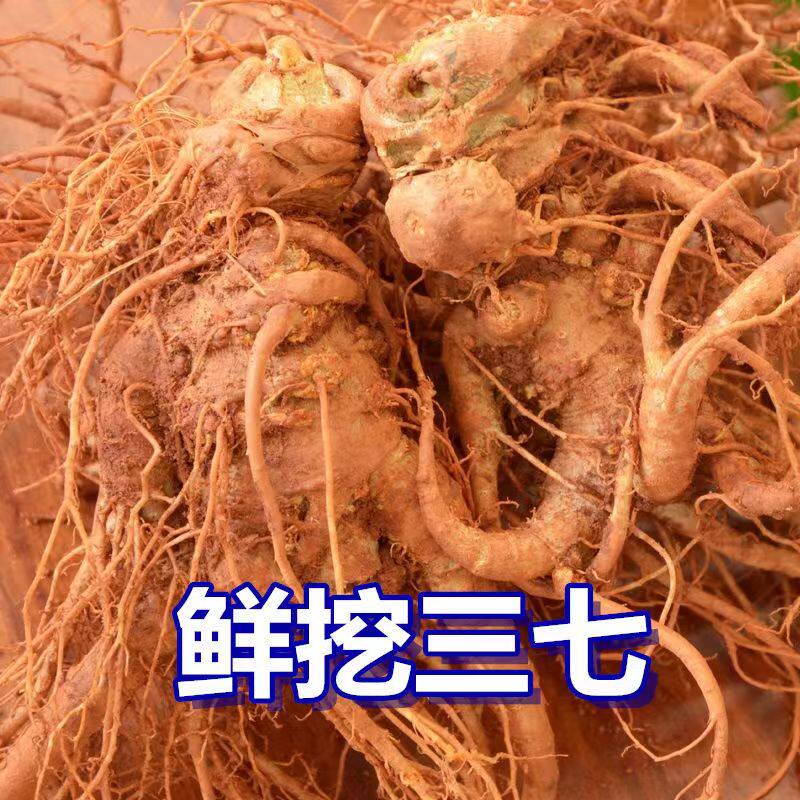 【首单直降】云南文山新鲜三七田七250g-1500g泡酒煲汤切片非野生