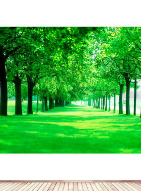 护眼树林树木绿绿色大树护眼贴画草地海报大自然护眼风景画装饰画