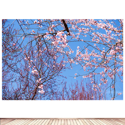 春日桃花潭山桃花桃花图画旺桃花风水画田园风光卧室宿舍房间海报