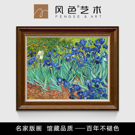 风色鸢尾花梵高抽象花卉油画欧式美式餐厅客厅卧室书房挂画装饰画