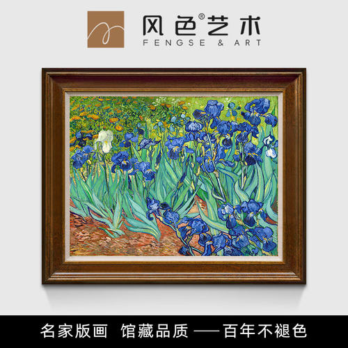风色梵高鸢尾花客厅装饰画油画
