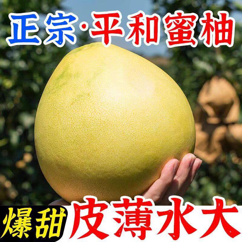 正宗福建平和琯溪嫁接三红蜜柚树苗红心柚子树苗南方北方种植果苗图片