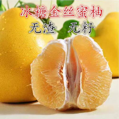 泰国红宝石青柚子树 嫁接大柚子苗果树苗木 可盆栽地栽新水果品种