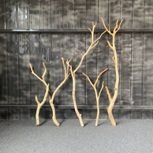 原木干树枝枯枝花艺造景软装材料室内创意吊顶装饰插花瓶枯木摆件