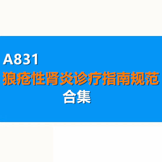 2025中国狼疮性肾炎临床实践诊疗指南规范5份合集 治疗用药路径