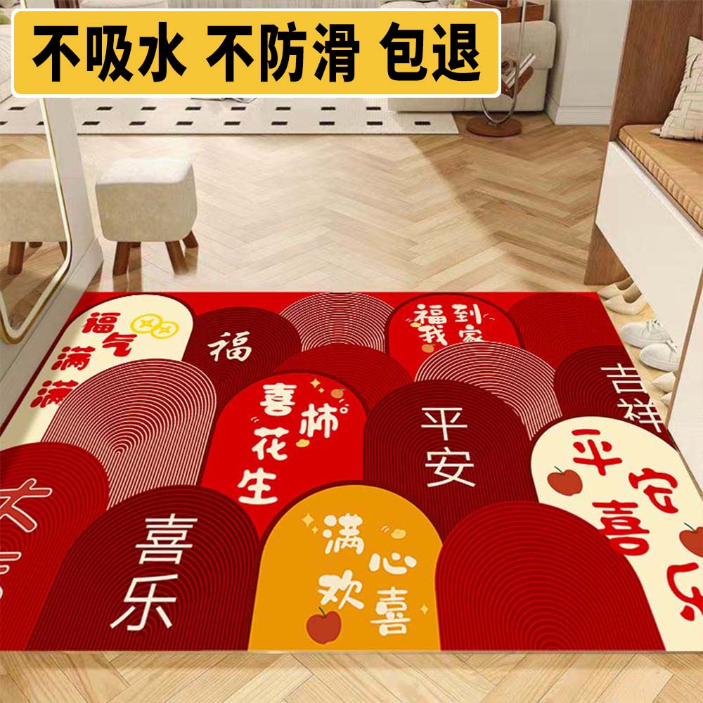 轻奢入户门客厅毯硅藻泥沙发茶几地垫入户防滑高级感秒吸速干除尘
