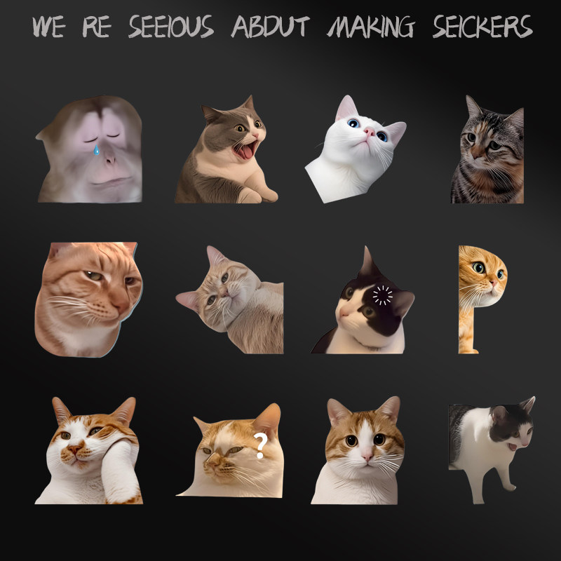 搞笑迷因MEME猫猫咪惊讶表情贴纸