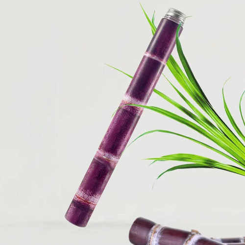 网红甘蔗竹节瓶子一次性饮料果汁瓶塑料PET杯加长创意竹子奶茶瓶