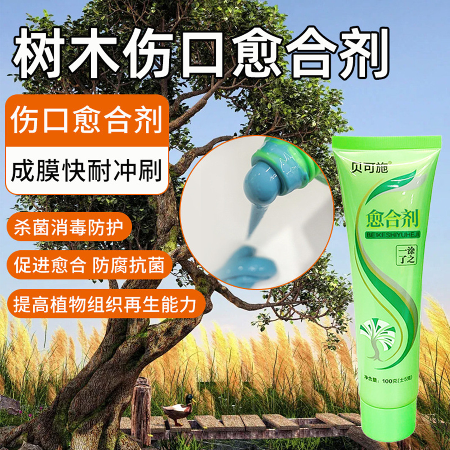 贝可施愈合剂盆栽修剪伤口