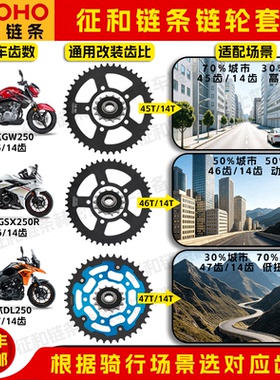 征和链条豪爵铃木原厂GSX250 GW250F/S DL250二代静音牙盘三件套