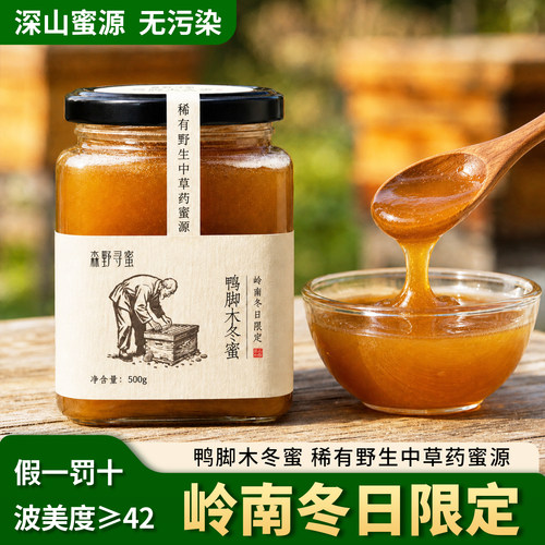 稀有中草药野生蜜源鸭脚木冬蜜