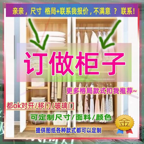 定制长50厘米宽45/50/60公分衣柜深60cm1米高/深二米二客厅木衣柜