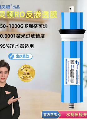 惠灵顿RO反渗透膜第四级正品滤芯