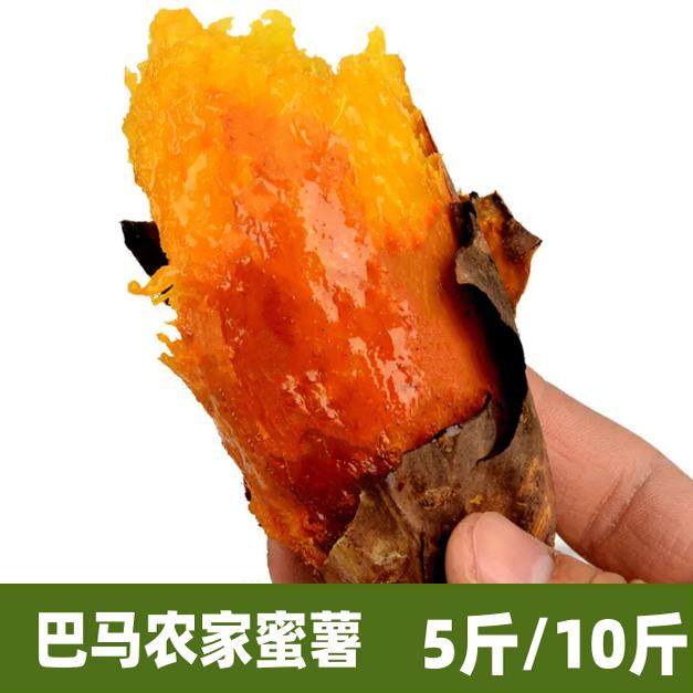 五斤装广西现挖红薯巴马新鲜小蜜薯粉糯甜糯沙地红薯,水产肉类/新鲜蔬果/熟食,番薯,淘宝优惠券,粉丝福利购,淘宝优惠卷