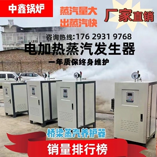 电加热蒸汽锅炉蒸汽发生器桥梁蒸养护商用工业蒸煮服装熨烫电锅炉
