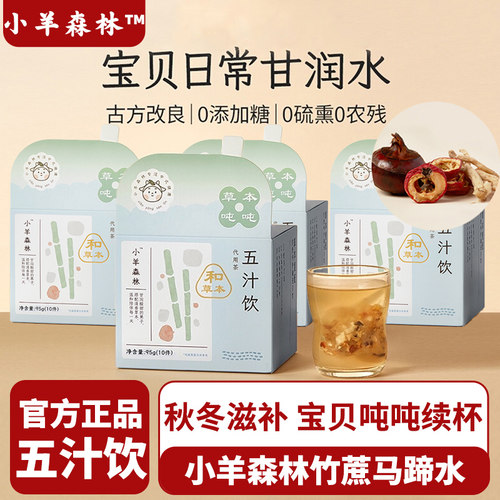 小羊森林五汁饮儿童清润果茶营养健康竹蔗雪梨马蹄山楂冷泡茶包