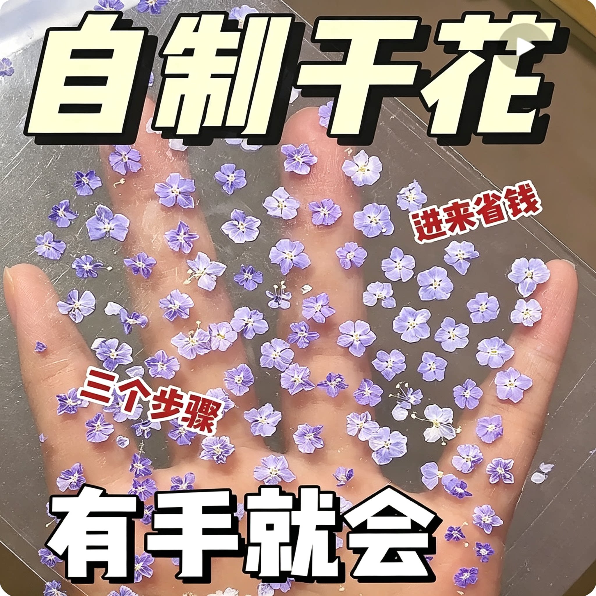 自制干花教程三个步骤鲜花压花干花制作手工DIY保姆级资料