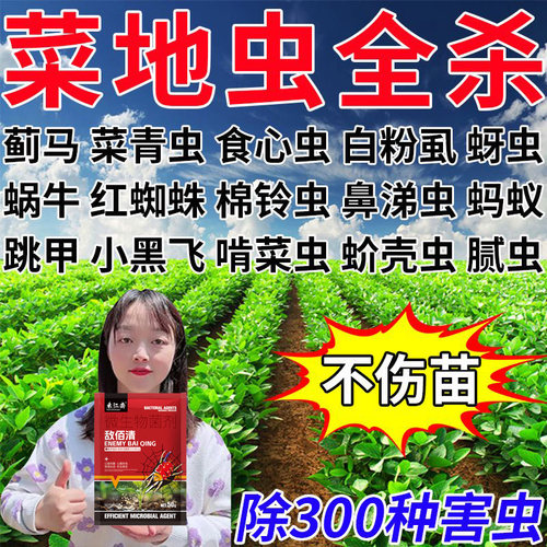 菜地打虫药蔬菜百虫绝白菜专用药青虫黄条跳甲红蜘蛛蔬菜防虫颗粒