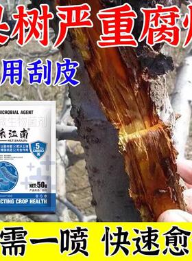 果树腐烂病喷剂苹果树桃树杏树干腐病溃疡病轮纹病枝干流脓杀菌剂