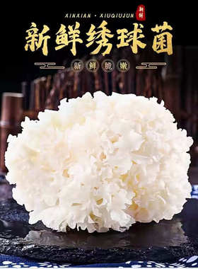 新鲜绣球菌1000克2斤装火锅食材顺丰空运次日达凉拌菌菇当天现采