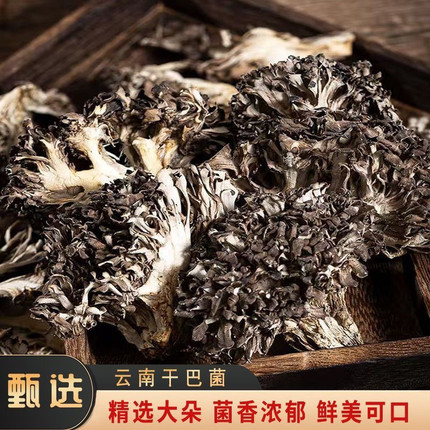 姜研同款干巴菌云南特产野生干巴菌味灰树花无泥沙特级山货灰树花