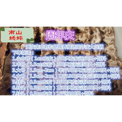 蛐蛐 蟋蟀 活体饲料 养殖场直发现货大中小针头爬虫鸟龟守宫食物