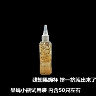 小果蝇饲料幼体食物残翅果蝇活体 跳蛛螳螂爬宠 食物果蝇杯大果蝇