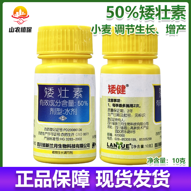 兰月矮健50%矮壮素小麦调节生长增产矮化植株防倒伏抗逆生长调节