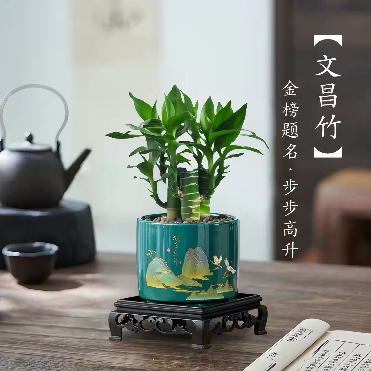 文昌竹桌面绿植招财净化空气