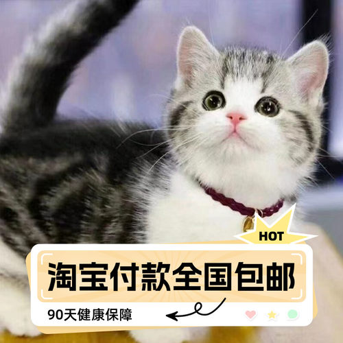 全国包邮淘宝付款90天健康保障